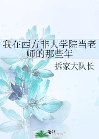 我在西方非人学院当老师的那些年